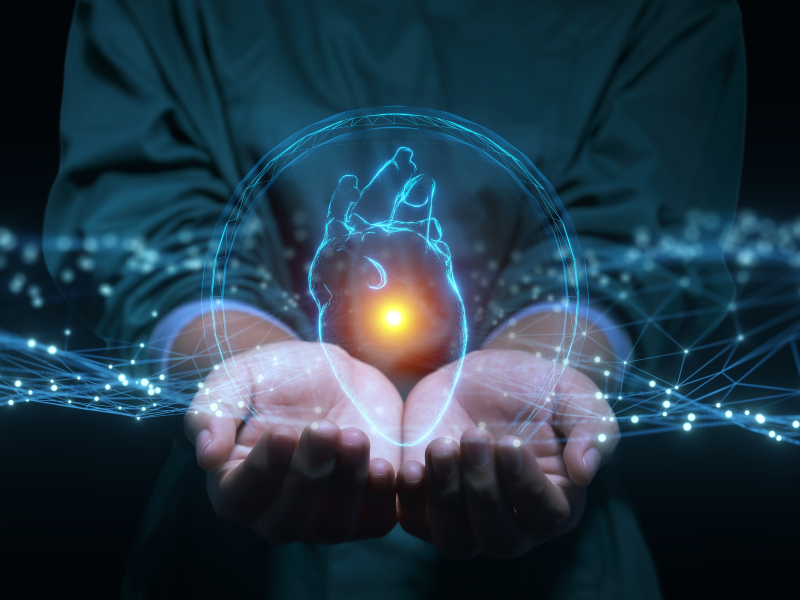 A $50 million grant from the Albanese government for the Australian Artificial Heart Frontiers Program will help to develop and commercialise its "Total Artificial Heart".